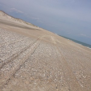 Holy F#ck!!! Imagine 40 miles of this.