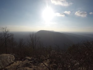 If bears won't eat me, I can live here.