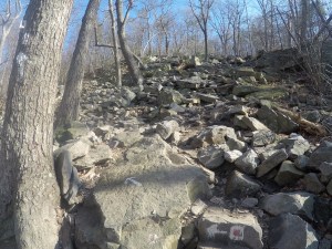 This photo does not justify the technical incline. 